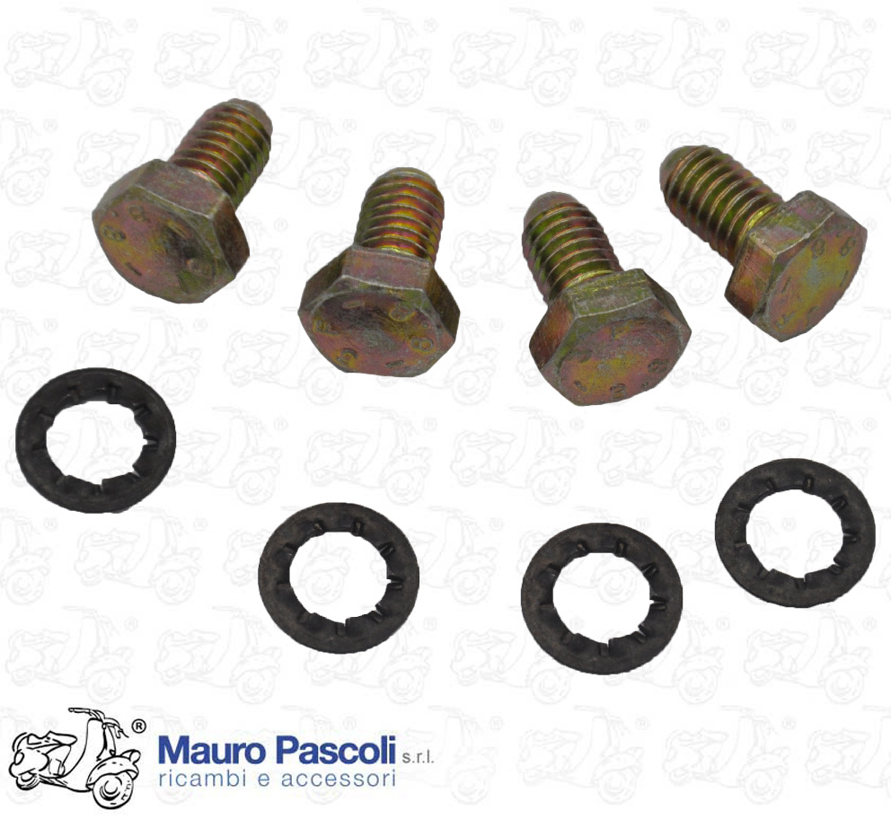 Bullone a testa sferica con chiave esagonale mm 10 ,lunghezza mm 11 e rondella