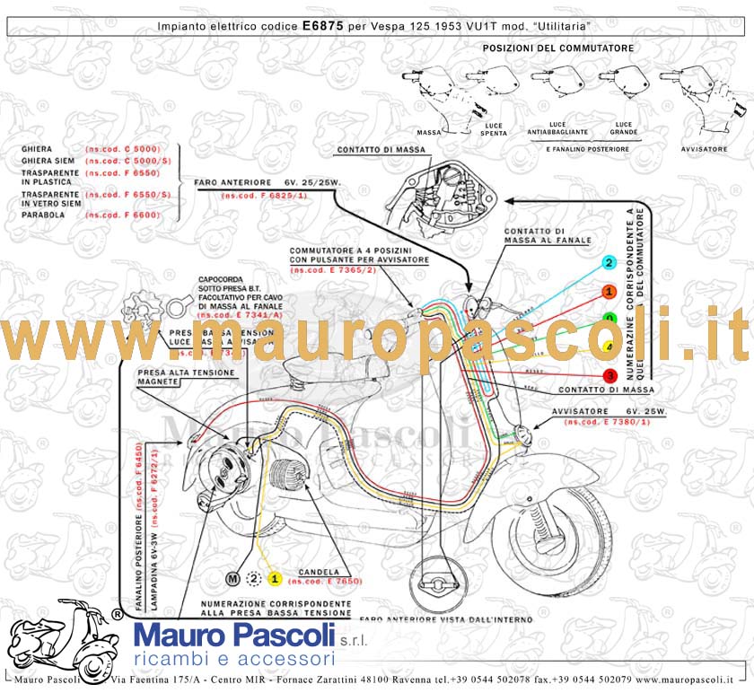 Gruppo cavetti impianto elettrico:modello privo di luce di posizione.