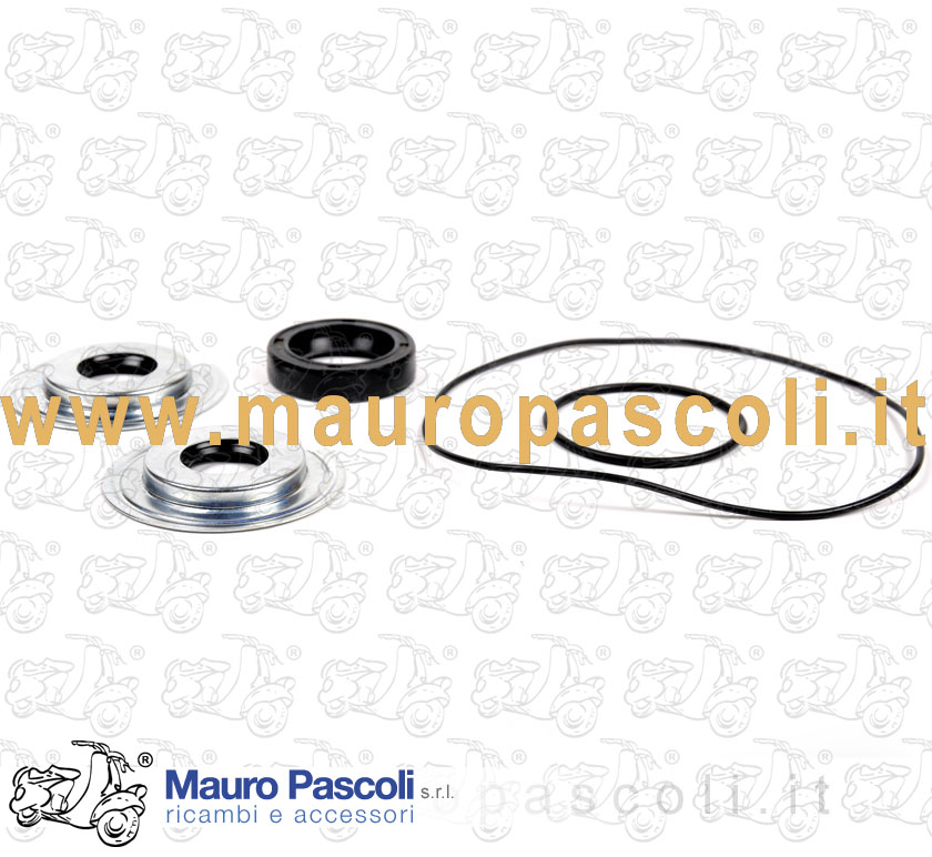 Serie paraoli con oring per revisione motore Vespa  125 - 150 - ape.