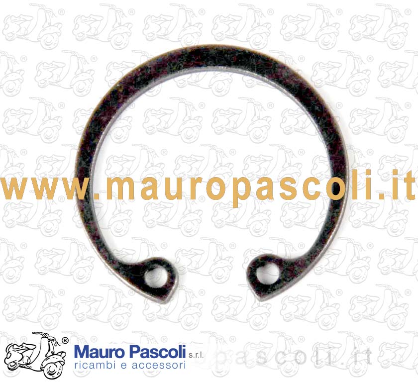 Spring ring
