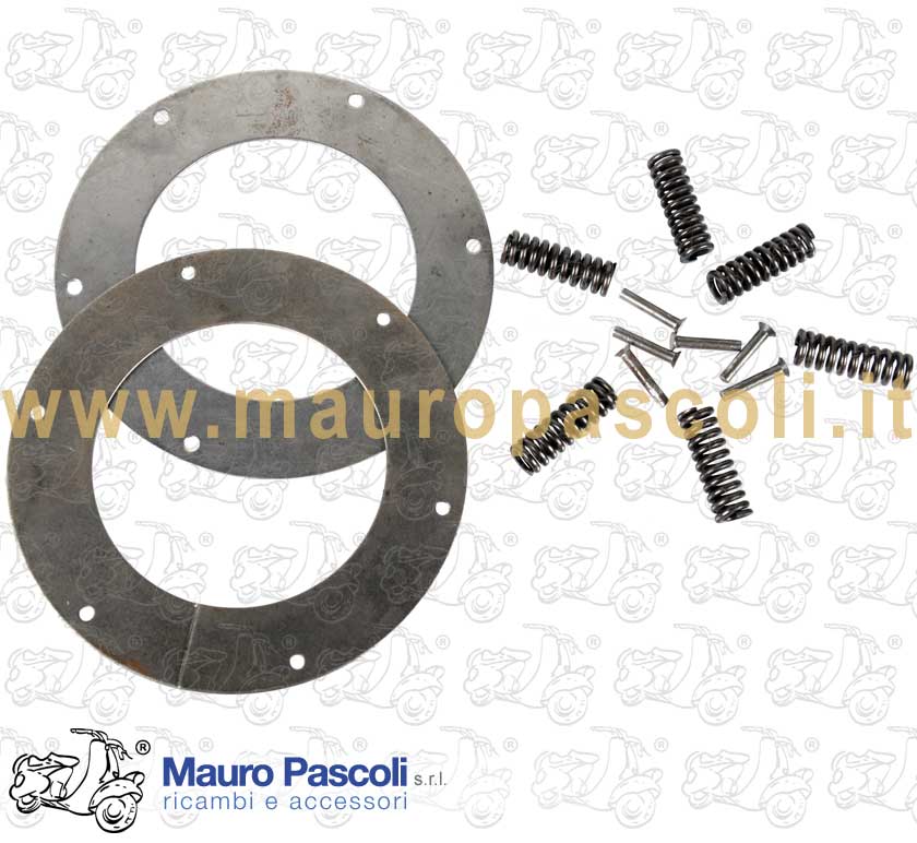Spring drives overhaul set