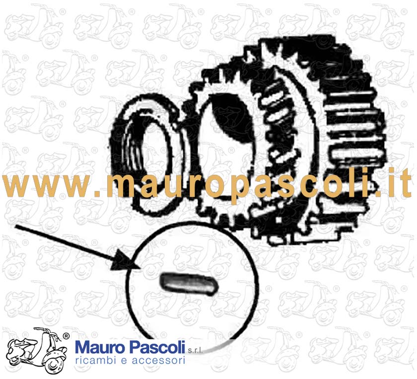 Kit rulli ingranaggio frizione,ape 125.