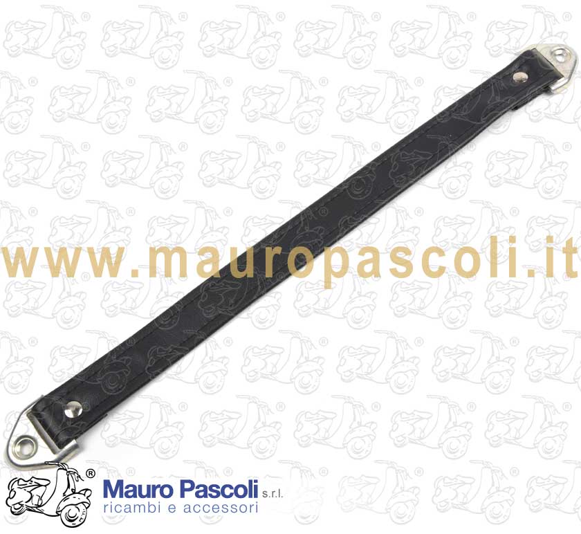 Passenger grip