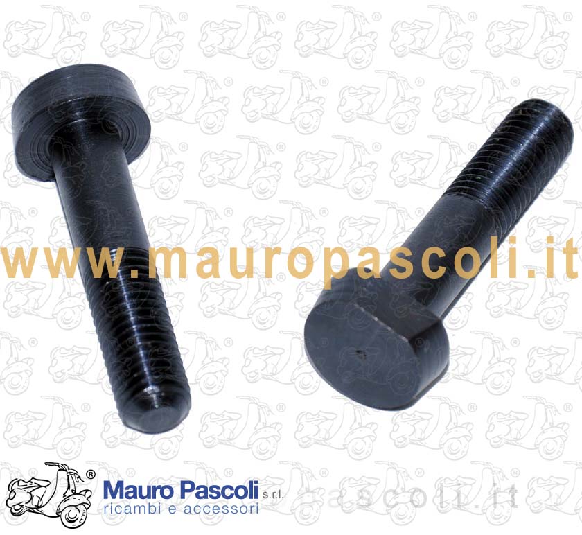Kit 2 bulloni supporto piastra ammortizzatore posteriore,vespa 125 - 150 .