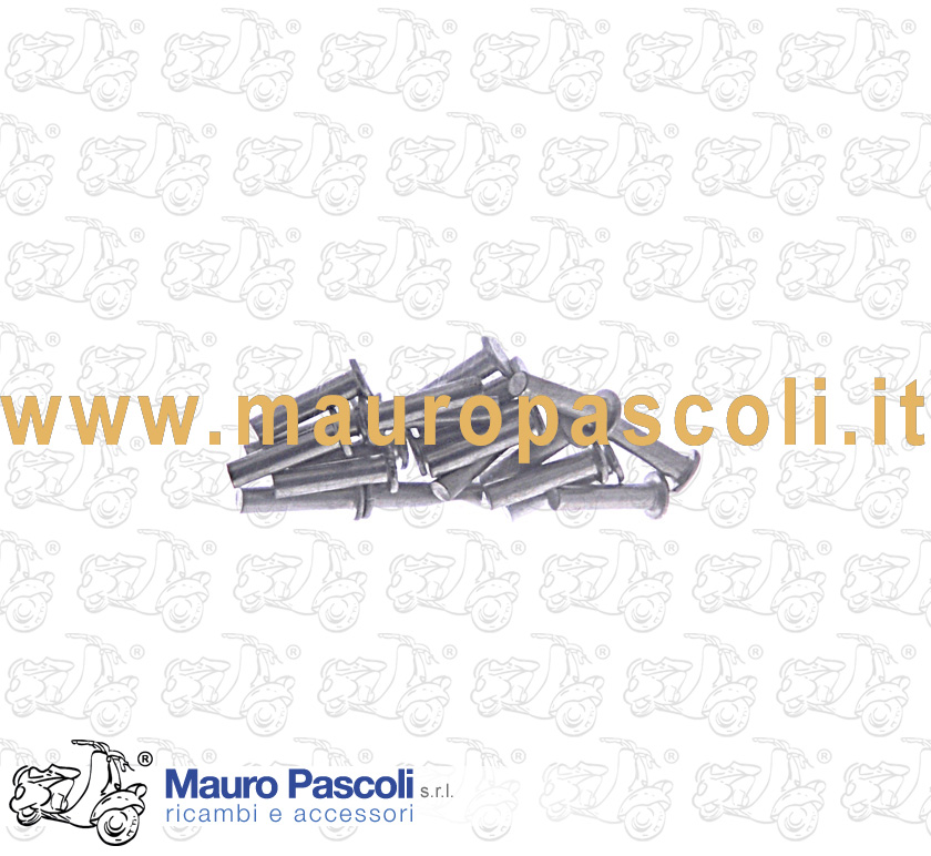 Kit de 20 rivets