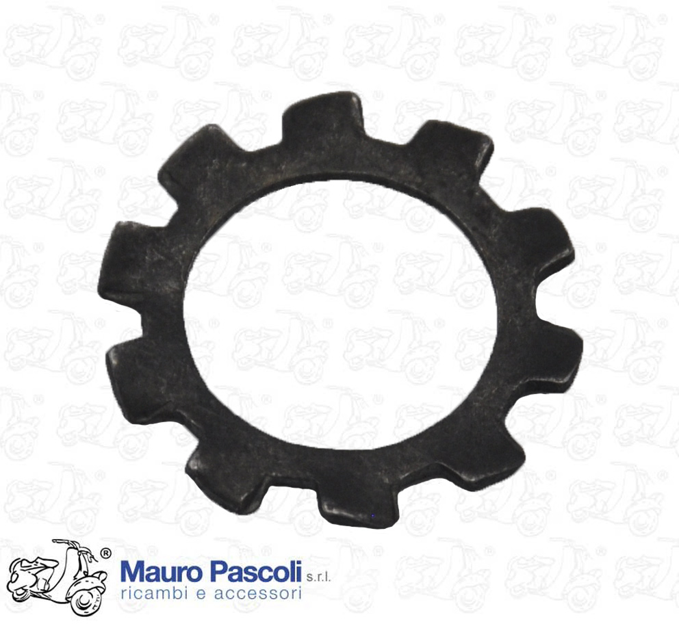 Rondella dentata esterno,dado fissaggio volano,vespa 98 - 125 - 150.