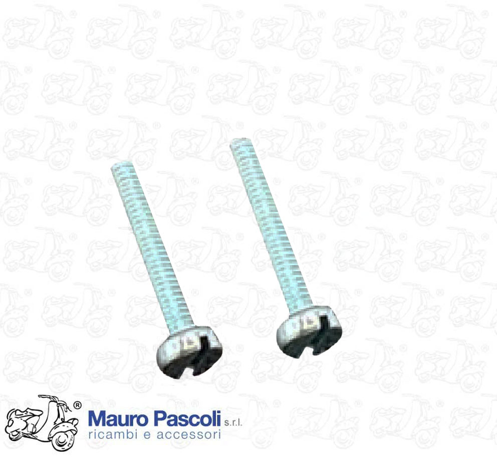 Kit 2 viti fissaggio gruppo ottico alla cornice interna ,vespa 50 special.