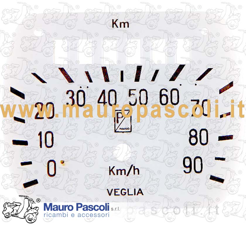 dial speedometer VEGLIA BORLETTI