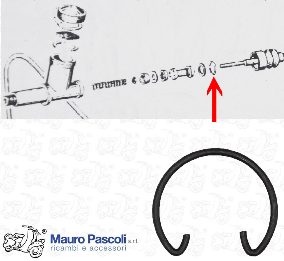 Anello elastico tenuta rondella pompa freni.