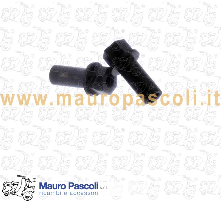 Kit 2 bulloni per il fissaggio carburatore,vespa 125 - 150 - 200.