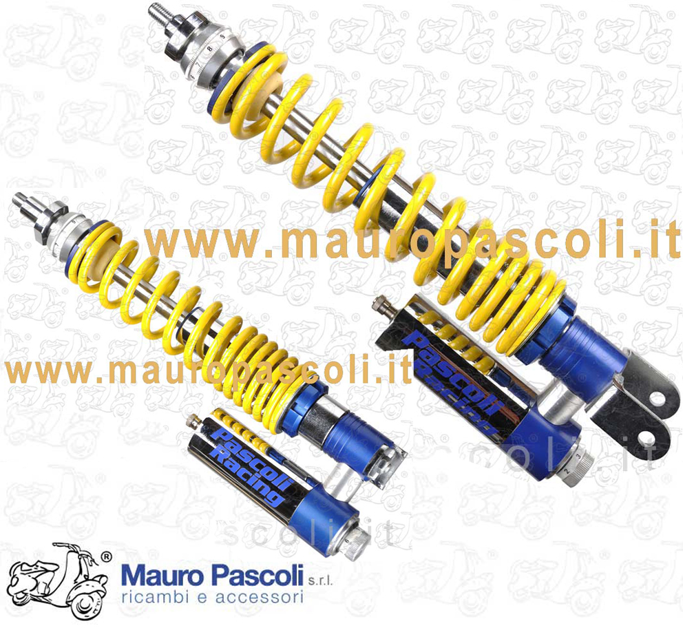 Coppia ammortizzatori (anteriore e posteriore) pascoli racing.