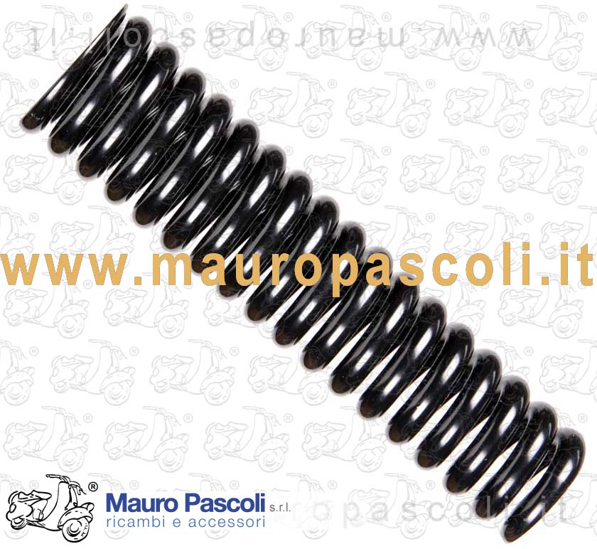 Spring (Front damper)