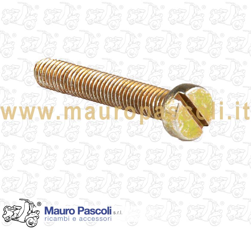 Vite fissaggio scatola filtro aria e coperchio selettore.