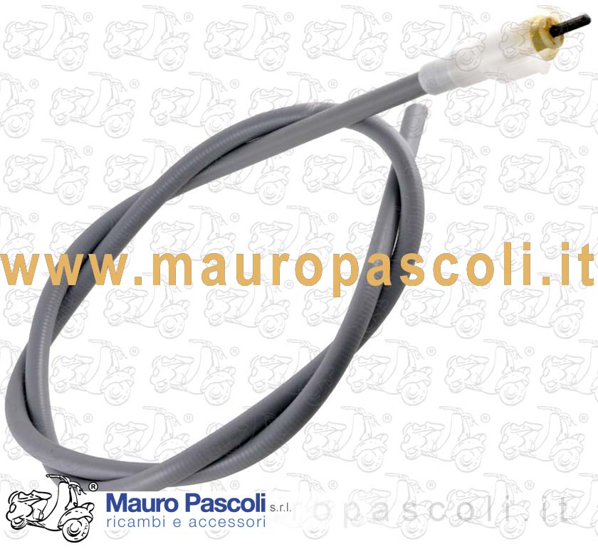 Speedometer cable veglia