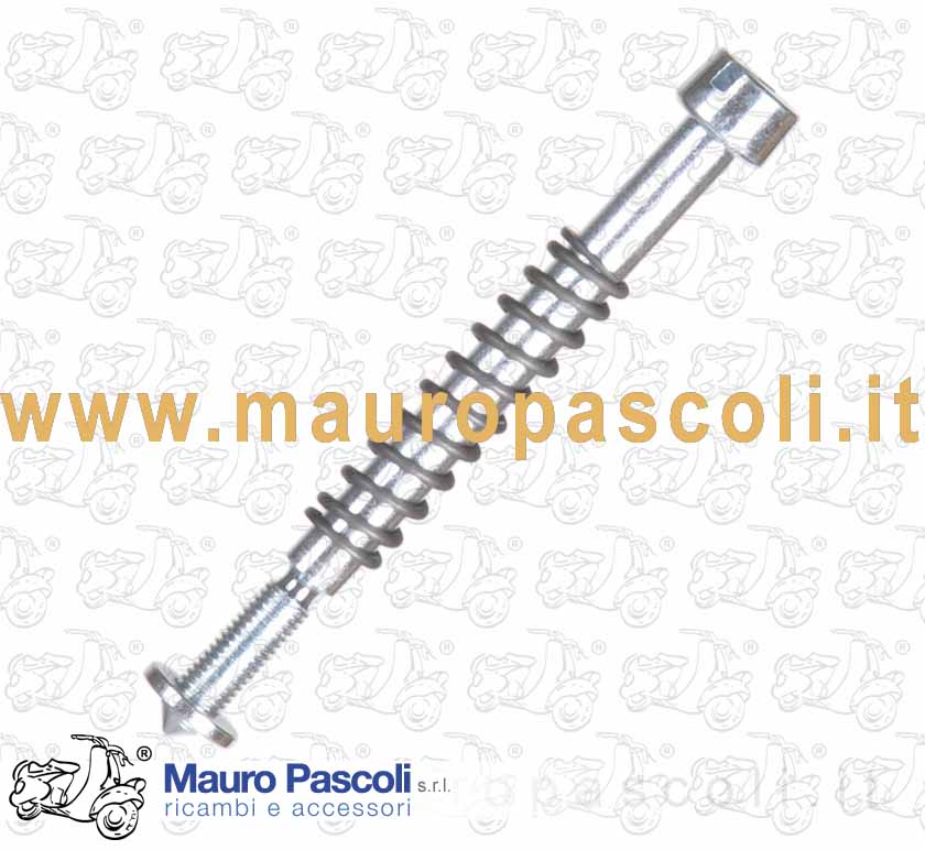 Kit bullone, molla e rondella per unione coppia calotte .