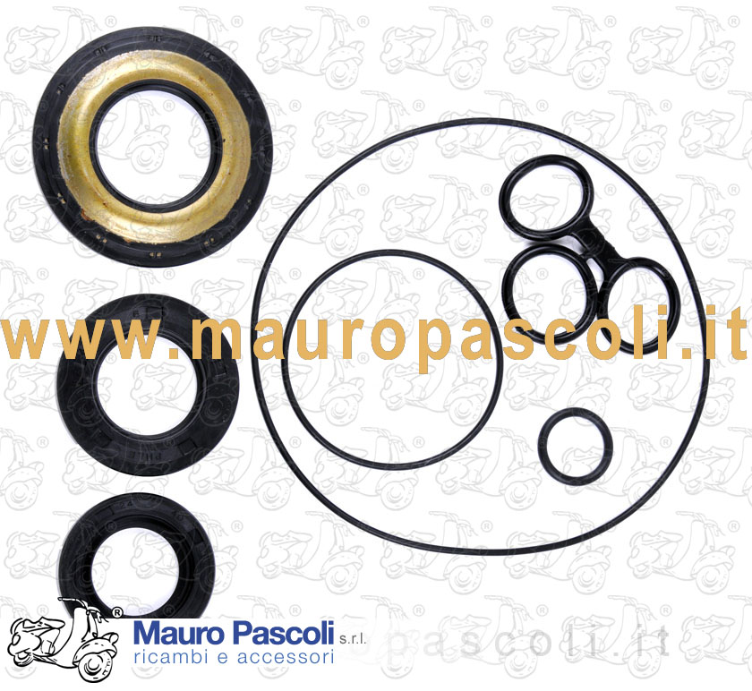 Serie paraoli con oring per revisione motore.