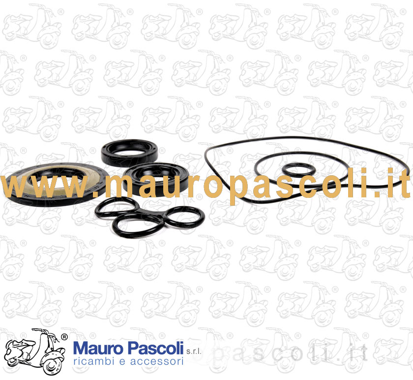 Serie paraoli  con o'ring per revisioni motore.