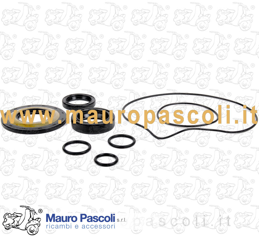 Serie paraoli con oring per revisione motore.
