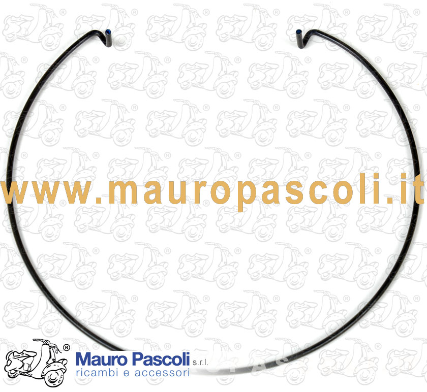 Retaining ring for the disk of the fan
