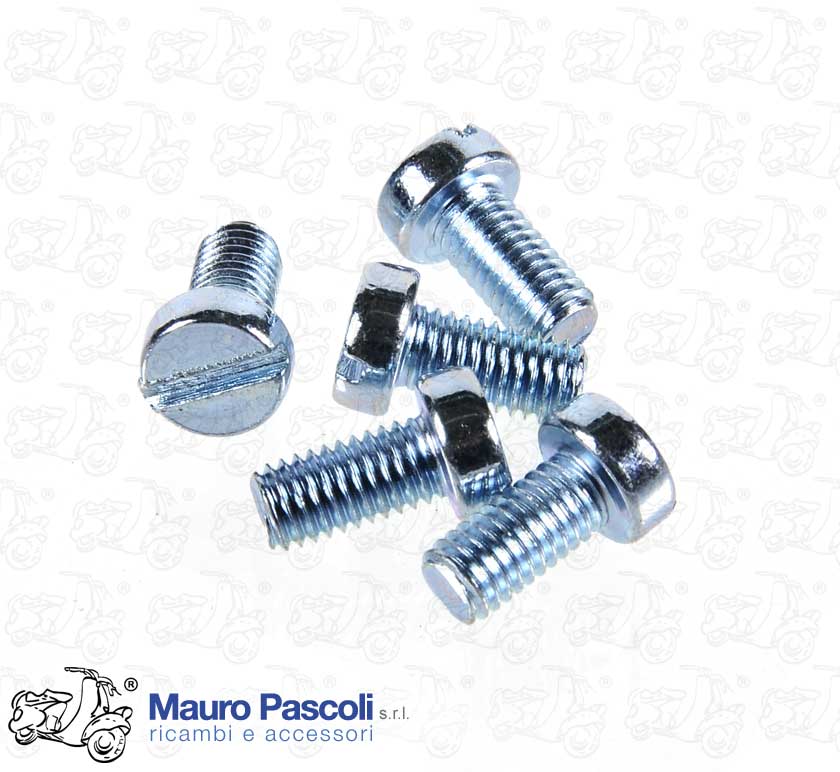 KIT N 5 SCREW CUTTING ZINC PLATED DA MM 6 X 10