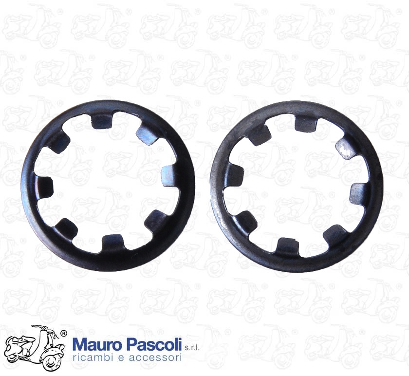 Kit N2 placa elástica de fijación trasera protección del cuerpo