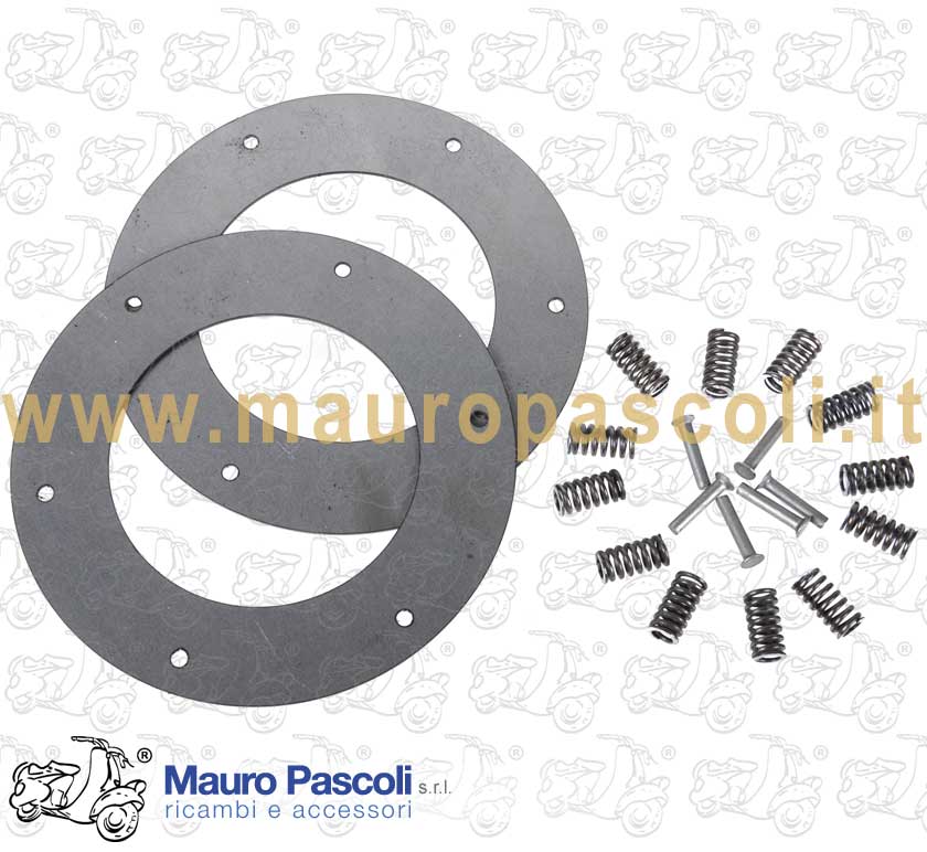 Spring drives overhaul set