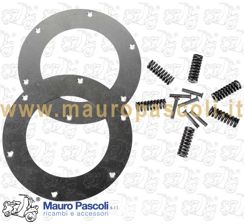 Spring drives overhaul set