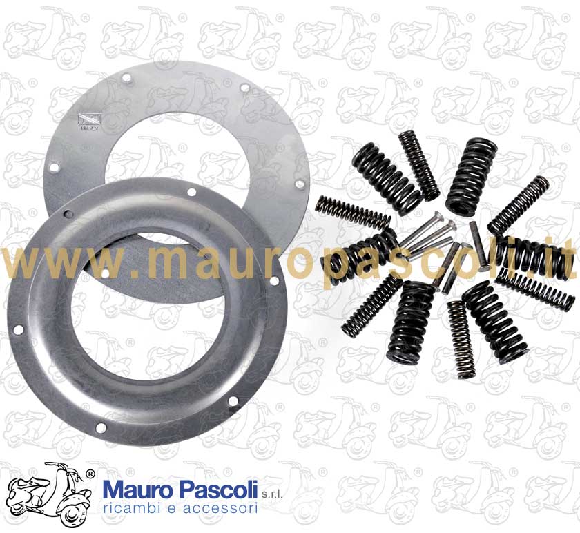 Spring drives overhaul set