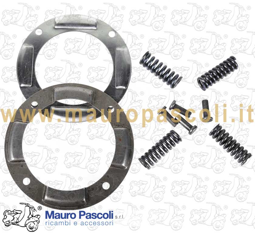Spring drives overhaul set